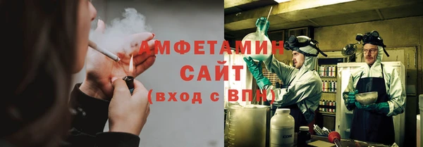 мдпв Гусь-Хрустальный