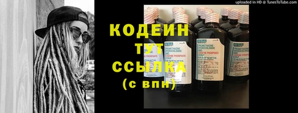 мдпв Гусь-Хрустальный