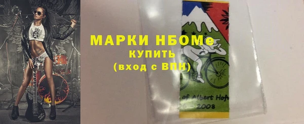 мдпв Гусь-Хрустальный