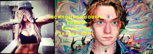 мдпв Гусь-Хрустальный