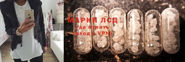 мдпв Гусь-Хрустальный