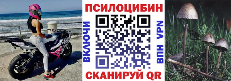 Псилоцибиновые грибы MAGIC MUSHROOMS  сколько стоит  нарко площадка состав  Павловск 